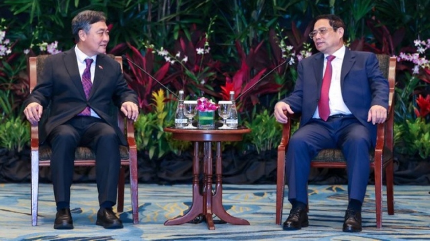 Vietnam welcomes Singaporean investors, says PM